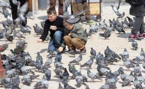  / FOTO: Radiosarajevo.ba